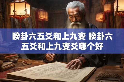 睽卦六五爻和上九变 睽卦六五爻和上九变爻哪个好