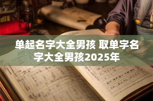 单起名字大全男孩 取单字名字大全男孩2025年