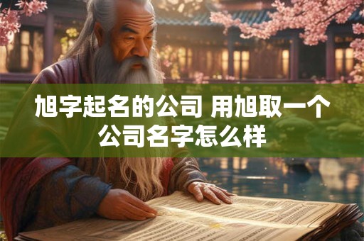 旭字起名的公司 用旭取一个公司名字怎么样