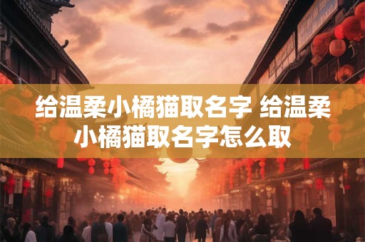 给温柔小橘猫取名字 给温柔小橘猫取名字怎么取