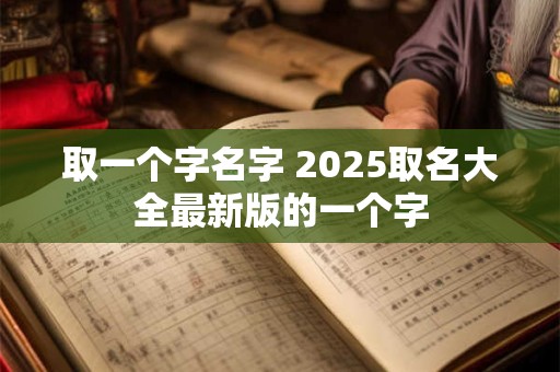 取一个字名字 2025取名大全最新版的一个字
