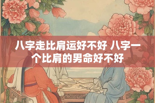 八字走比肩运好不好 八字一个比肩的男命好不好