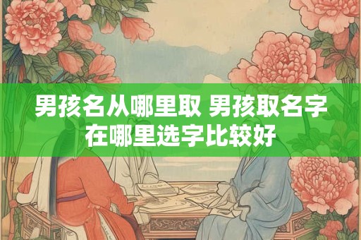 男孩名从哪里取 男孩取名字在哪里选字比较好