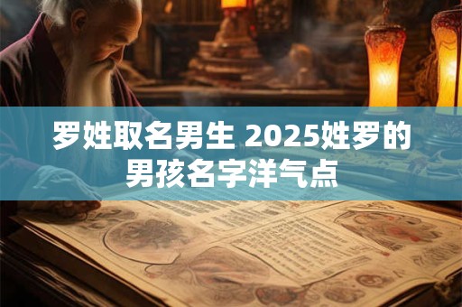 罗姓取名男生 2025姓罗的男孩名字洋气点