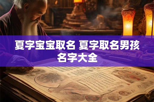 夏字宝宝取名 夏字取名男孩名字大全