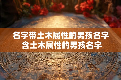 名字带土木属性的男孩名字 含土木属性的男孩名字