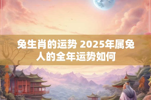 兔生肖的运势 2025年属兔人的全年运势如何