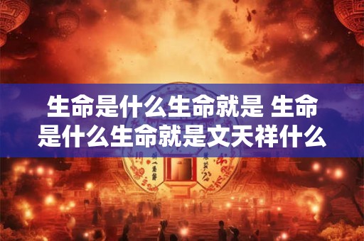 生命是什么生命就是 生命是什么生命就是文天祥什么的浩然正气