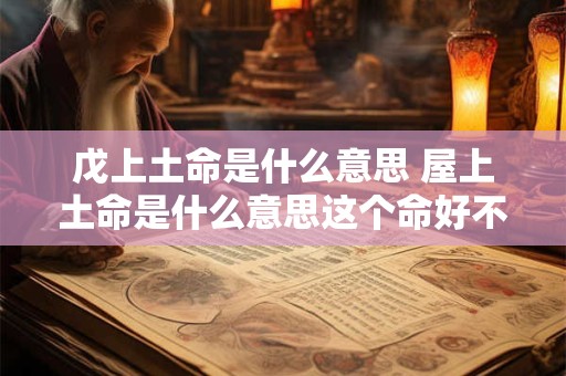 戊上土命是什么意思 屋上土命是什么意思这个命好不好