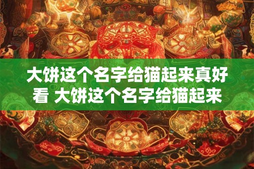 大饼这个名字给猫起来真好看 大饼这个名字给猫起来真好看呀