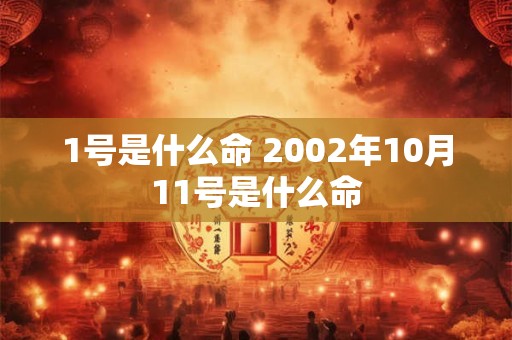 1号是什么命 2002年10月11号是什么命