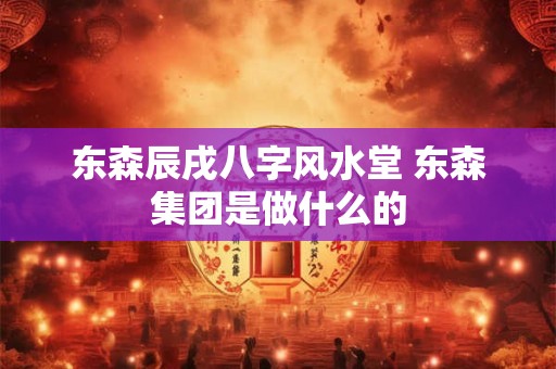 东森辰戌八字风水堂 东森集团是做什么的