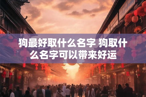 狗最好取什么名字 狗取什么名字可以带来好运