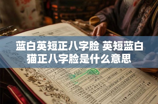 蓝白英短正八字脸 英短蓝白猫正八字脸是什么意思