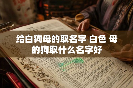 给白狗母的取名字 白色 母的狗取什么名字好