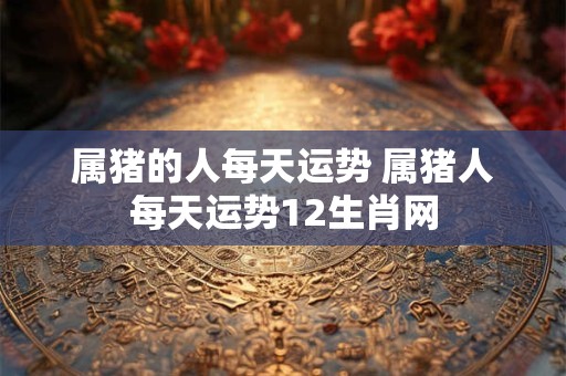 属猪的人每天运势 属猪人每天运势12生肖网