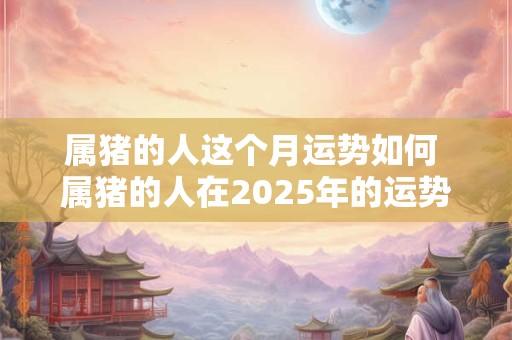 属猪的人这个月运势如何 属猪的人在2025年的运势怎么样 属猪的人这个月运势如何 属猪的人在2025年的运势怎么样