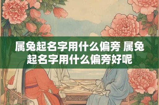属兔起名字用什么偏旁 属兔起名字用什么偏旁好呢