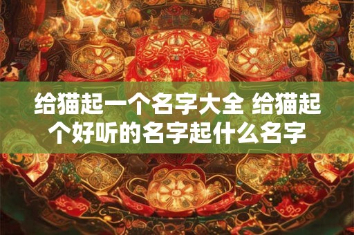 给猫起一个名字大全 给猫起个好听的名字起什么名字