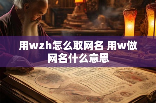 用wzh怎么取网名 用w做网名什么意思