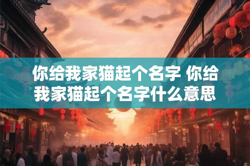 你给我家猫起个名字 你给我家猫起个名字什么意思