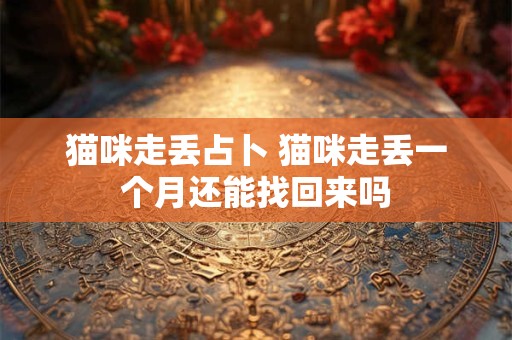 猫咪走丢占卜 猫咪走丢一个月还能找回来吗