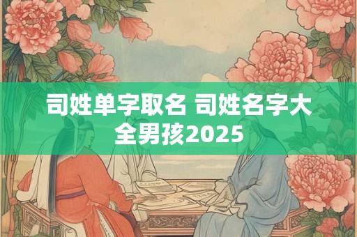 司姓单字取名 司姓名字大全男孩2025