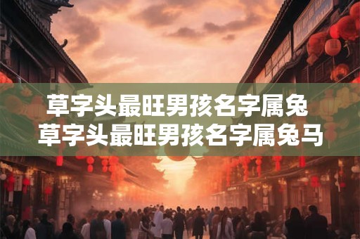 草字头最旺男孩名字属兔 草字头最旺男孩名字属兔马浩什么好一点