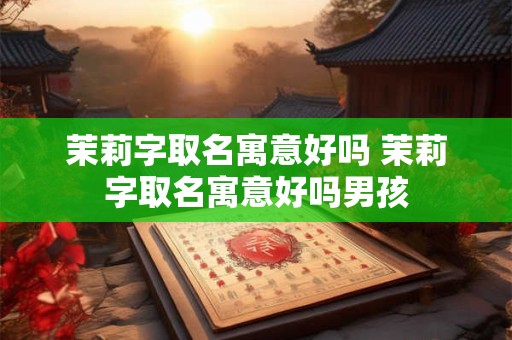 茉莉字取名寓意好吗 茉莉字取名寓意好吗男孩