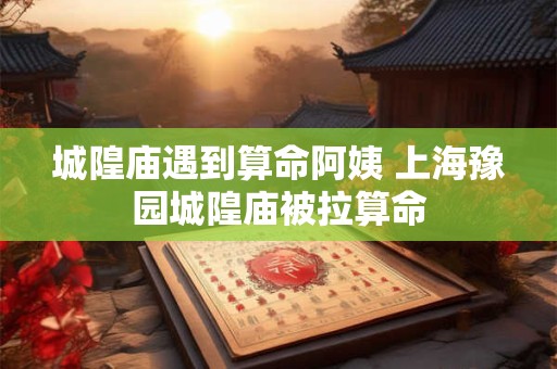 城隍庙遇到算命阿姨 上海豫园城隍庙被拉算命