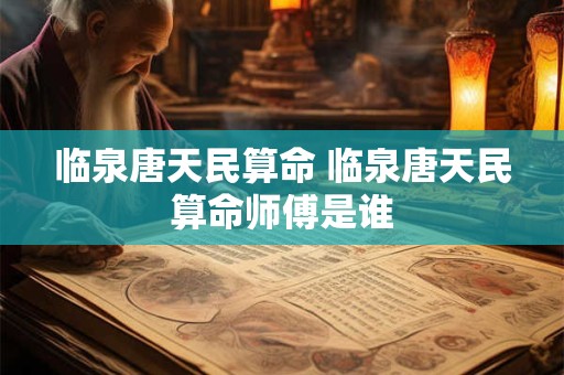 临泉唐天民算命 临泉唐天民算命师傅是谁