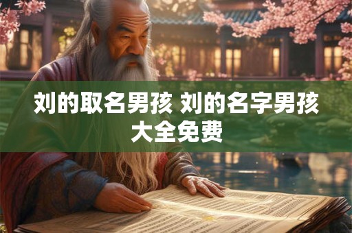 刘的取名男孩 刘的名字男孩大全免费