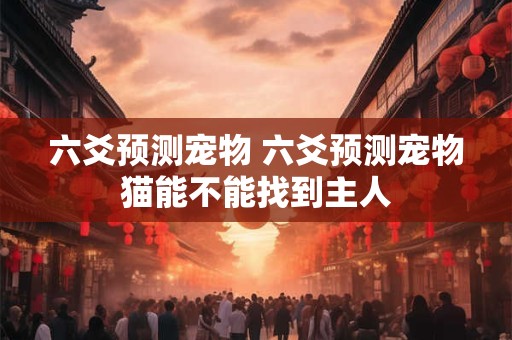 六爻预测宠物 六爻预测宠物猫能不能找到主人