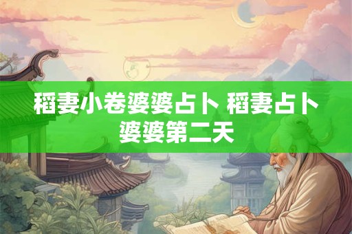 稻妻小卷婆婆占卜 稻妻占卜婆婆第二天