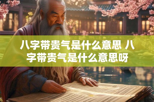 八字带贵气是什么意思 八字带贵气是什么意思呀