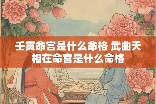 壬寅命宫是什么命格 武曲天相在命宫是什么命格
