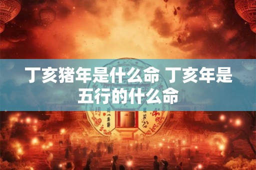 丁亥猪年是什么命 丁亥年是五行的什么命