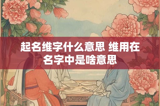 起名维字什么意思 维用在名字中是啥意思