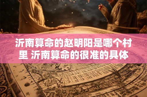 沂南算命的赵明阳是哪个村里 沂南算命的很准的具体位置在哪里
