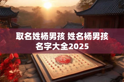 取名姓杨男孩 姓名杨男孩名字大全2025