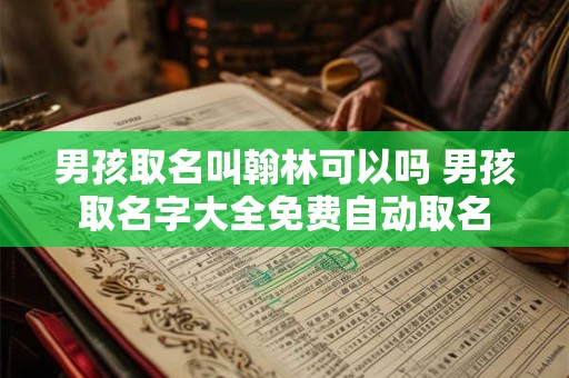 男孩取名叫翰林可以吗 男孩取名字大全免费自动取名