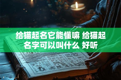 给猫起名它能懂嘛 给猫起名字可以叫什么 好听