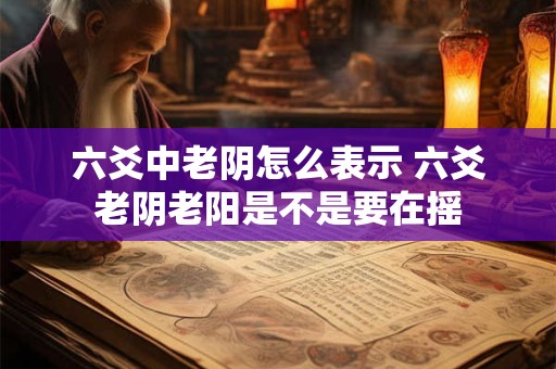 六爻中老阴怎么表示 六爻老阴老阳是不是要在摇
