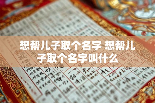 想帮儿子取个名字 想帮儿子取个名字叫什么