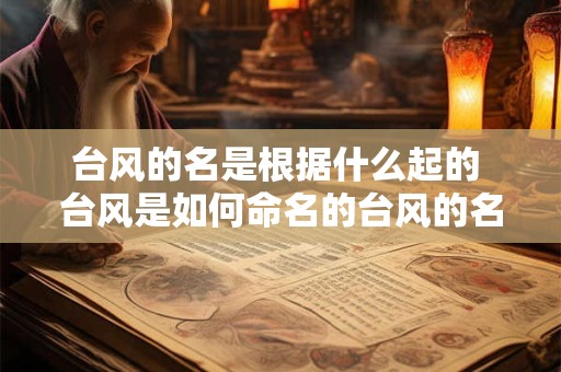 台风的名是根据什么起的 台风是如何命名的台风的名字的由来