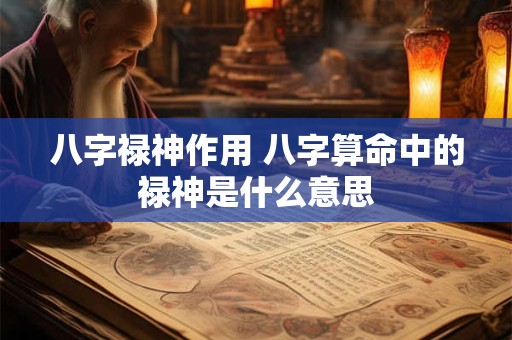 八字禄神作用 八字算命中的禄神是什么意思