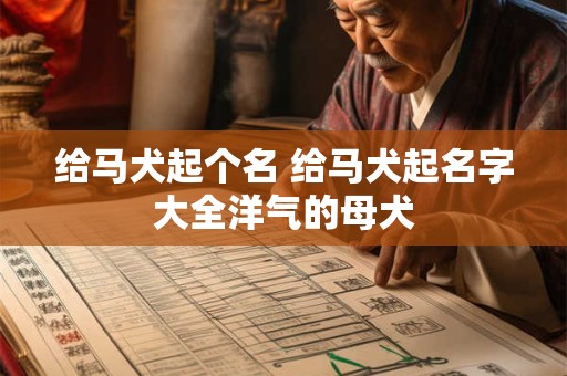 给马犬起个名 给马犬起名字大全洋气的母犬