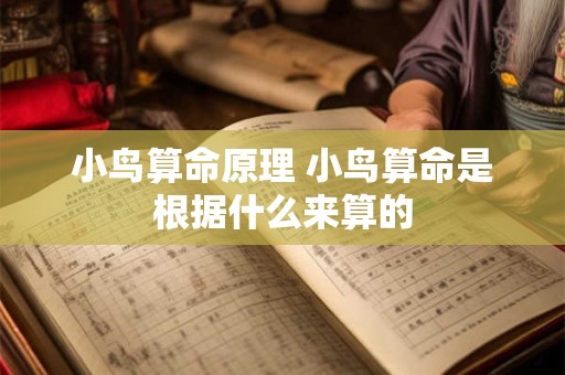 小鸟算命原理 小鸟算命是根据什么来算的