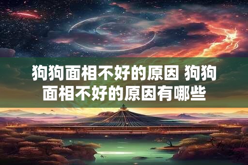 狗狗面相不好的原因 狗狗面相不好的原因有哪些