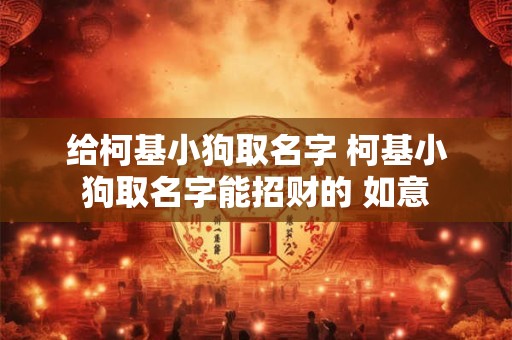 给柯基小狗取名字 柯基小狗取名字能招财的 如意